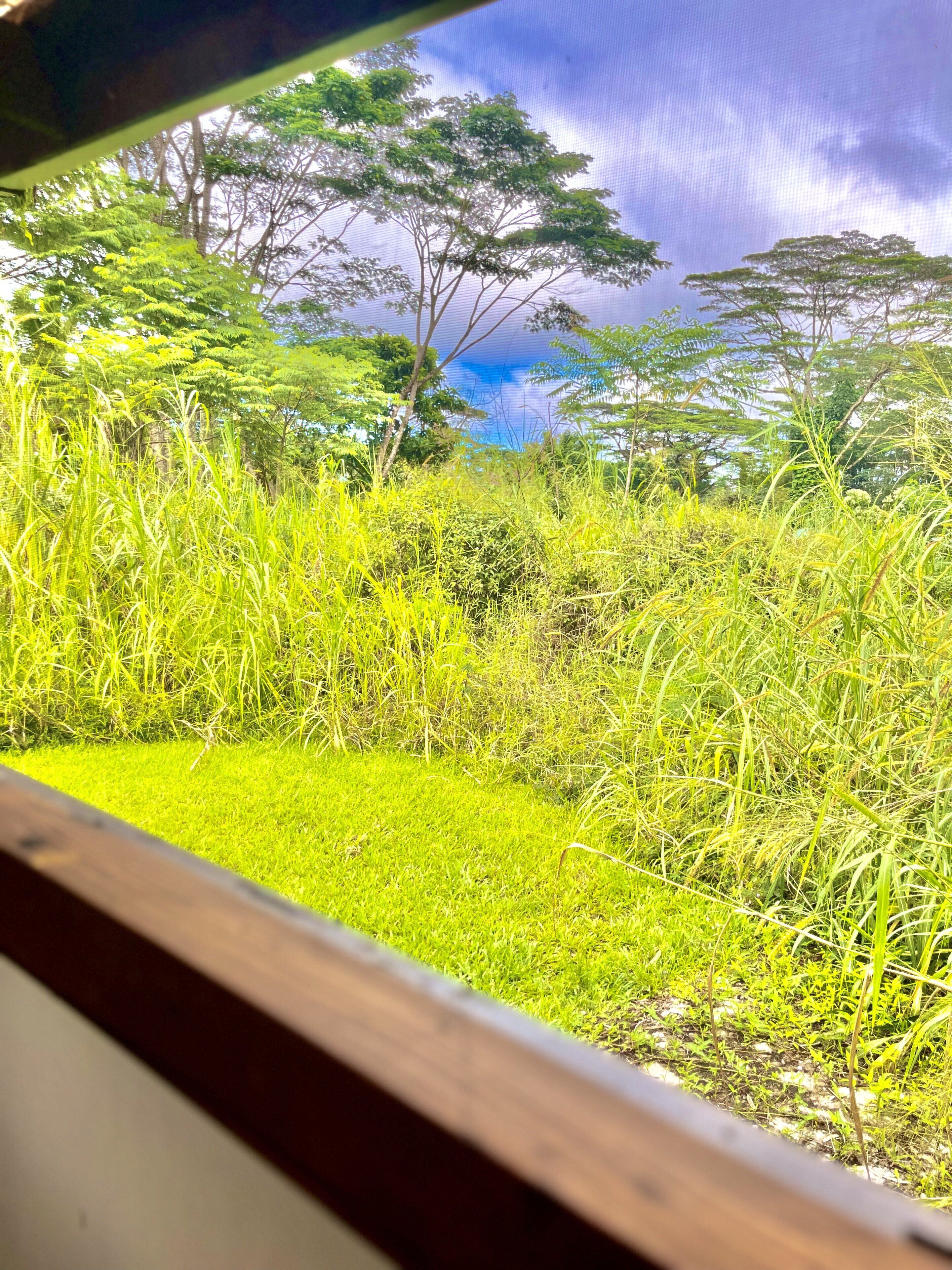 Foto - Hawaiian Sanctuary Eco Retreat Center