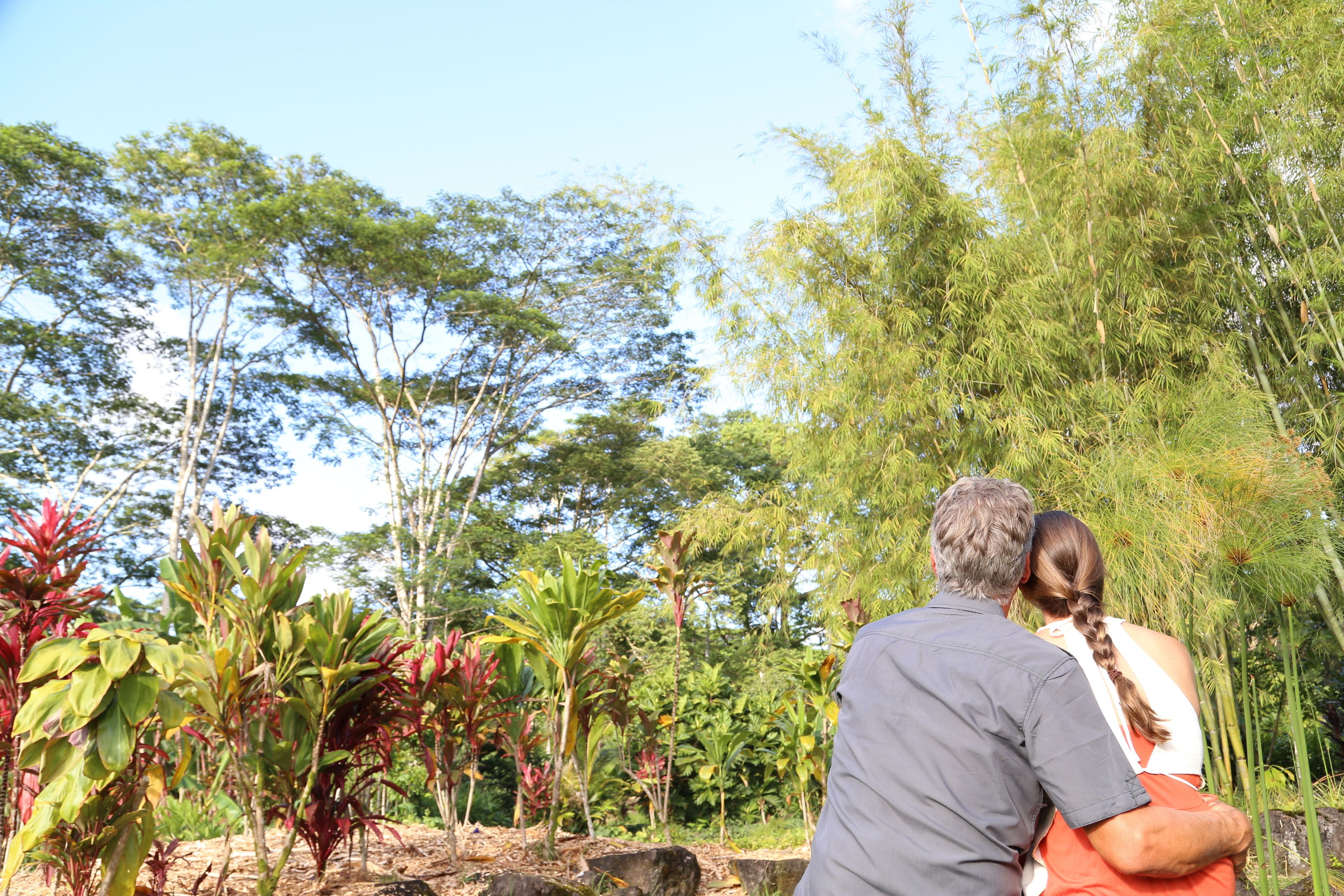 A couple sitting on a bench in a garden with various plants and trees.