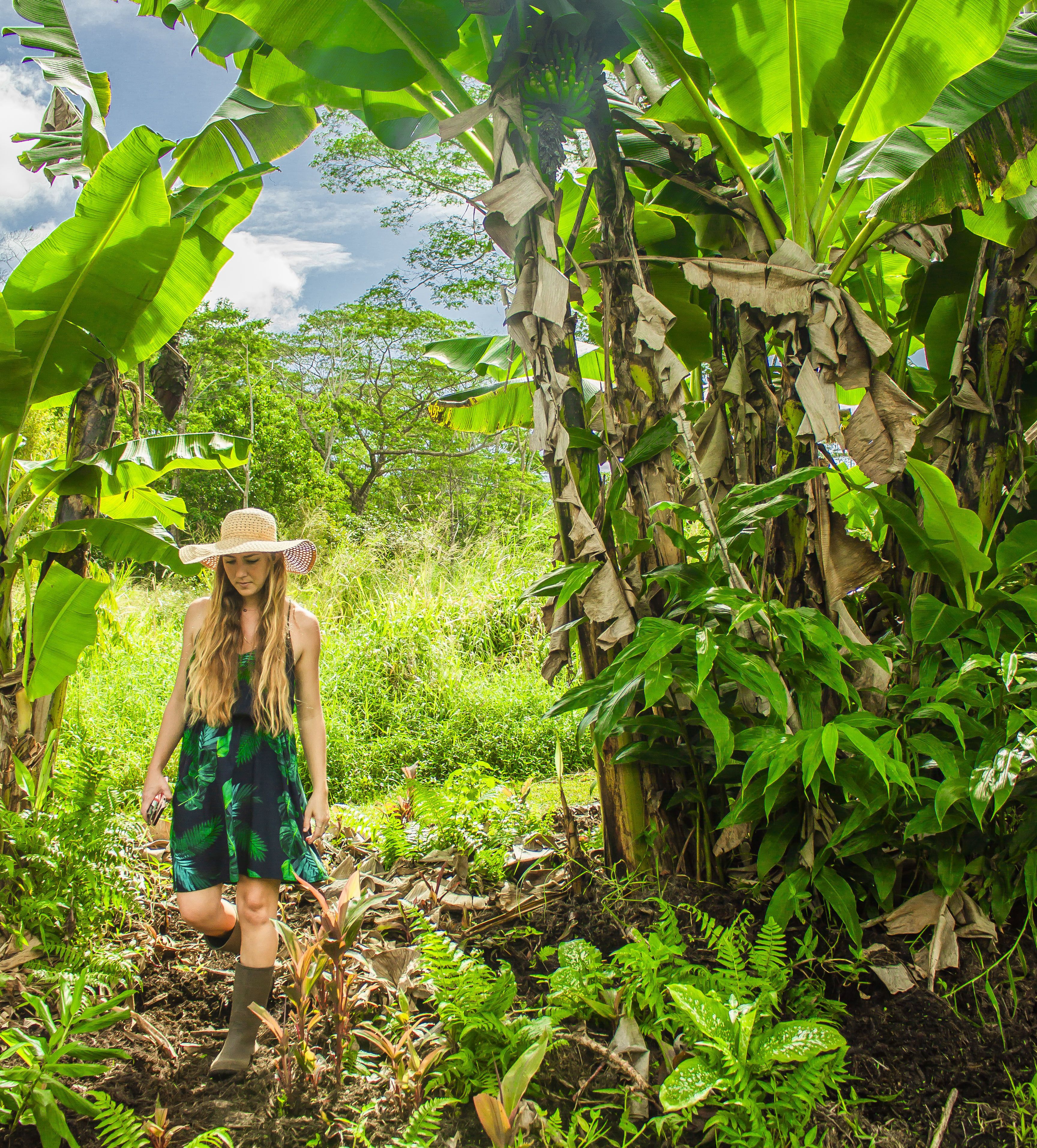 Foto - Hawaiian Sanctuary Eco Retreat Center