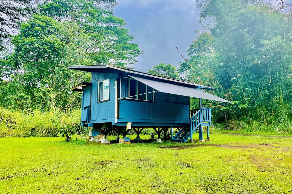 A blue house with a balcony, surrounded by lush greenery.