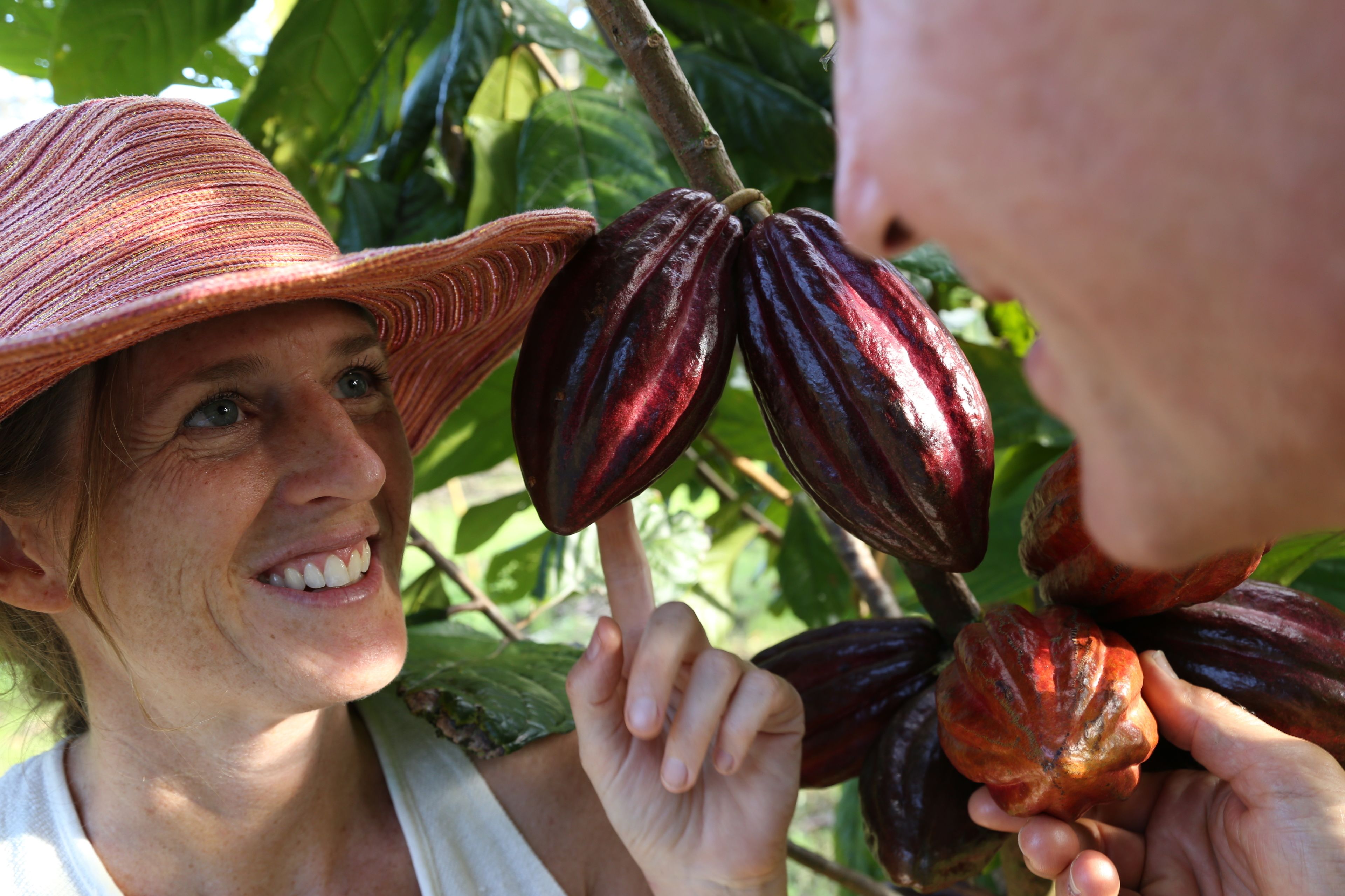 A person wearing a straw hat and holding a cocoa pod.