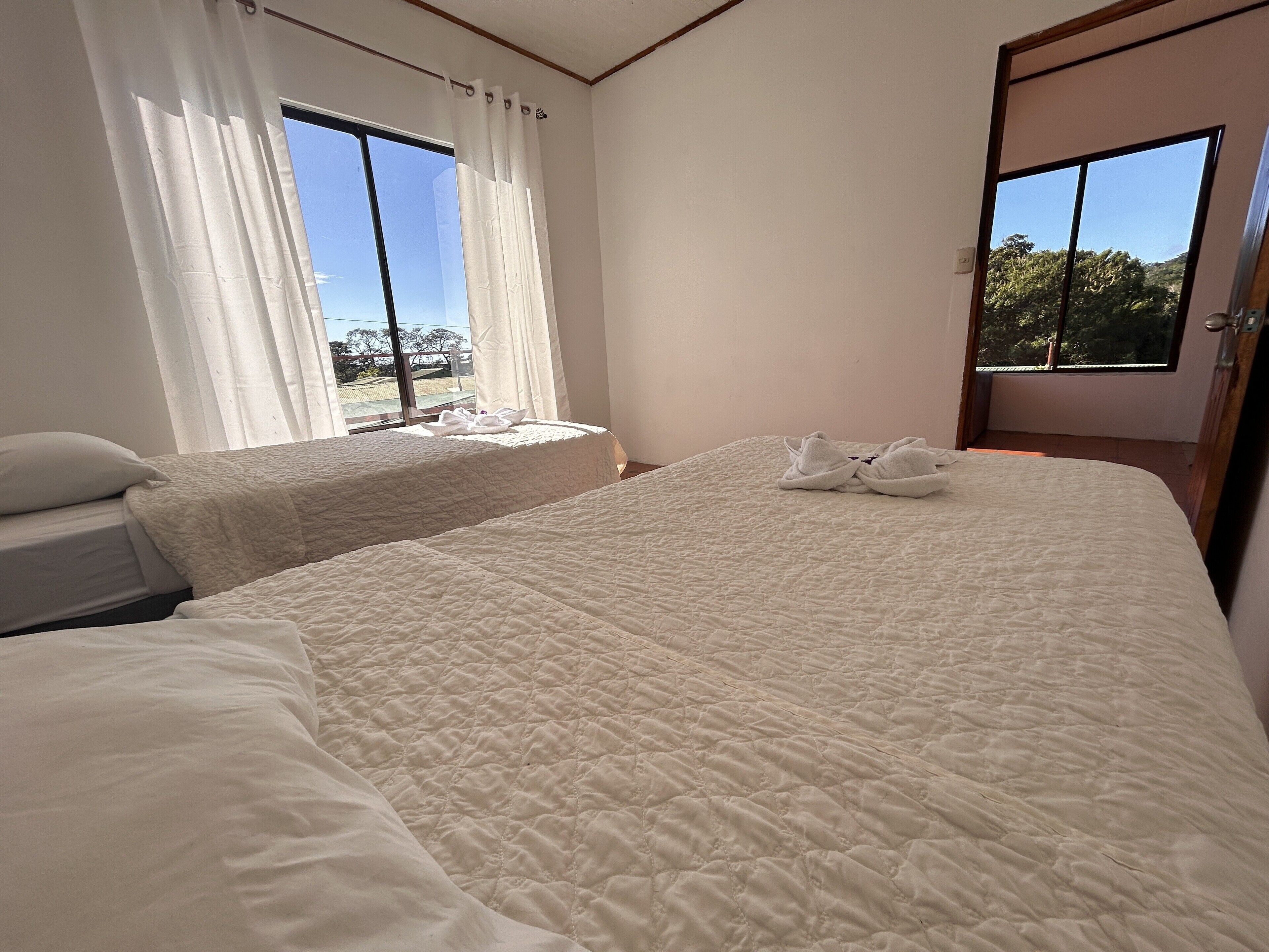 Foto - Hotel las ardillas