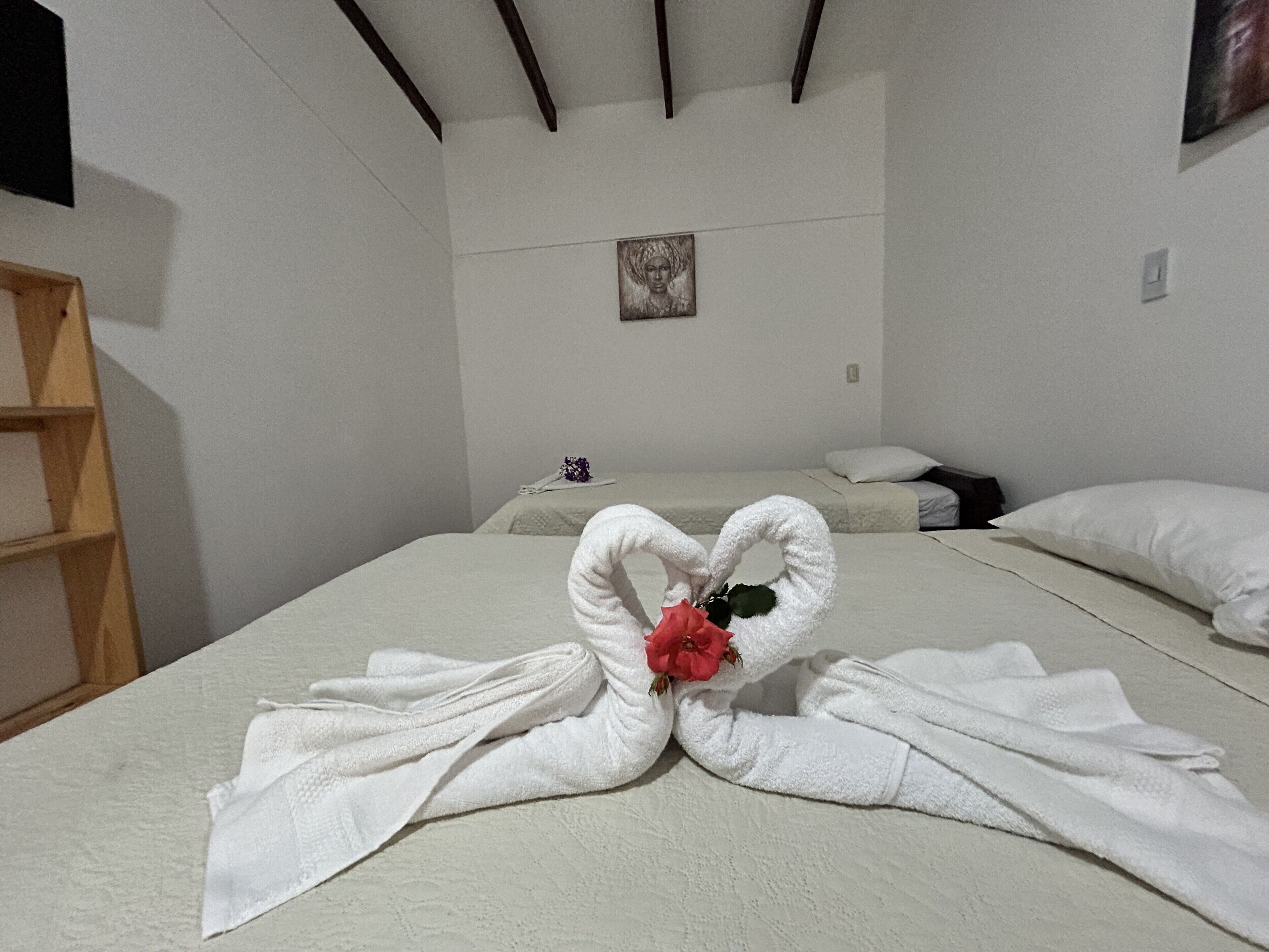 Foto - Hotel las ardillas