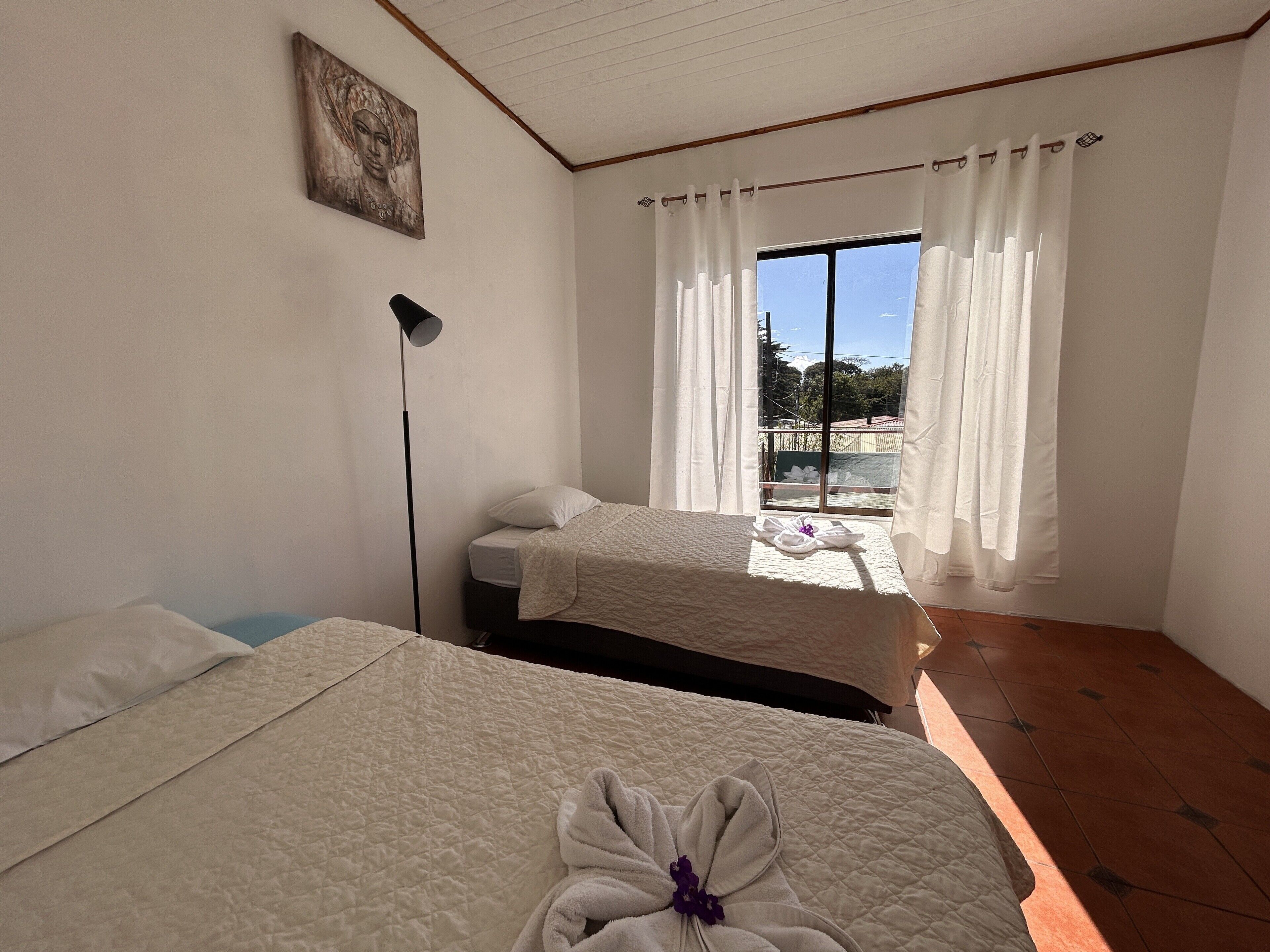 Foto - Hotel las ardillas