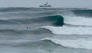Beach - Black Shark Apartments (Lima)