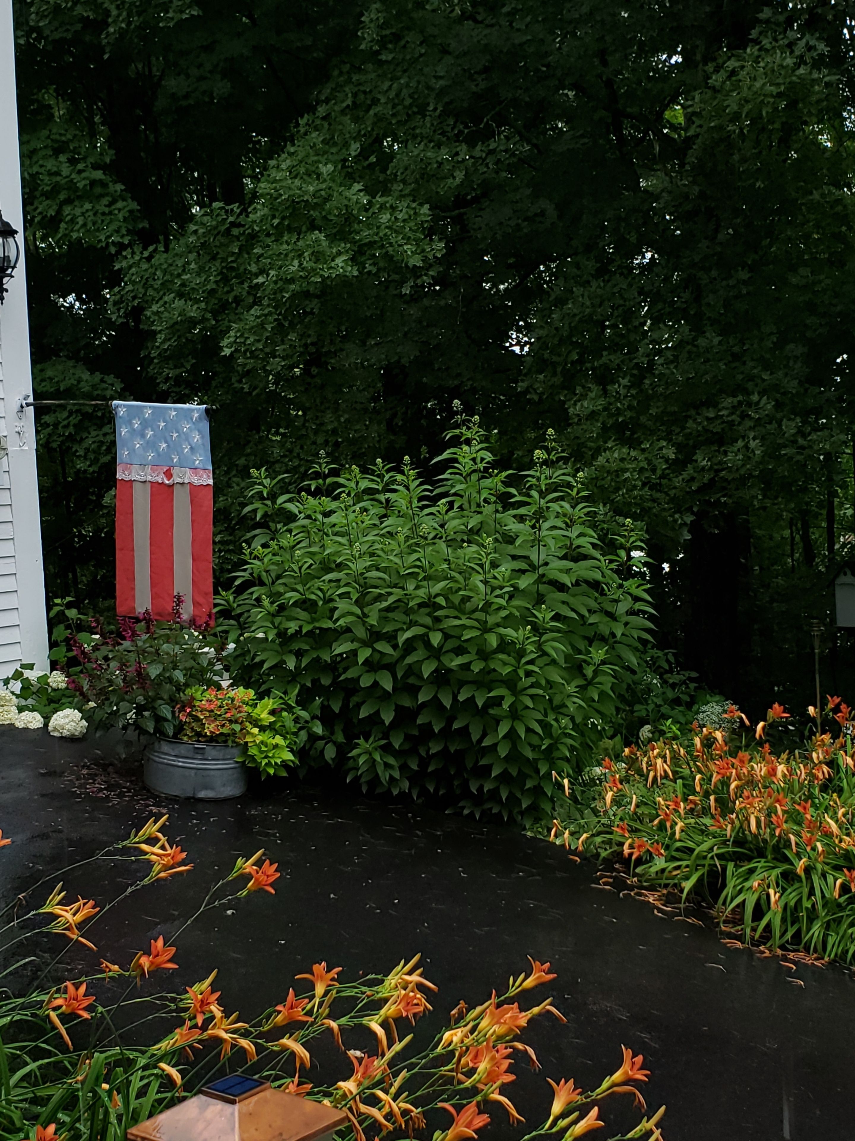 Ein Garten mit Flagge, verschiedenen Pflanzen und Blumen.