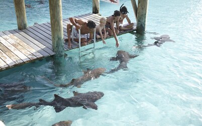 Few mins walk to Downtown, Beach, Fishfry, Major Attractions & near to PI