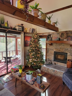 Smart TV, fireplace, books