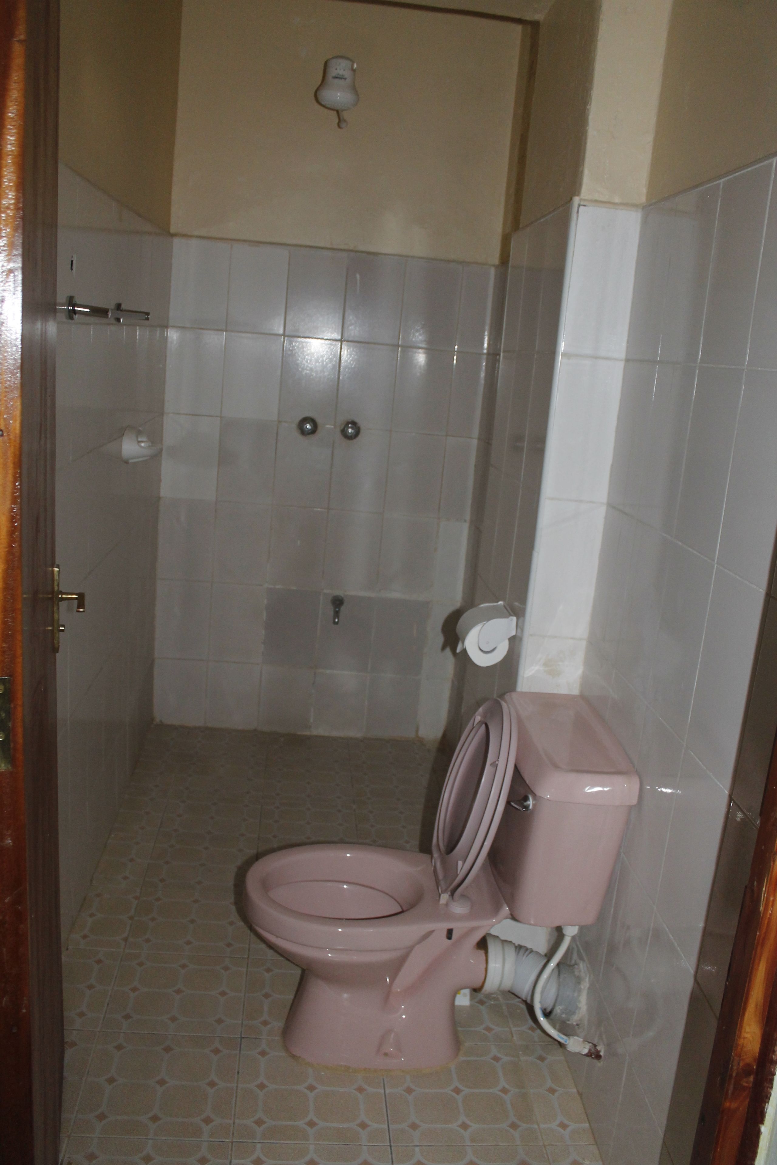 A bathroom with a toilet, a shower, and a toilet paper holder.
