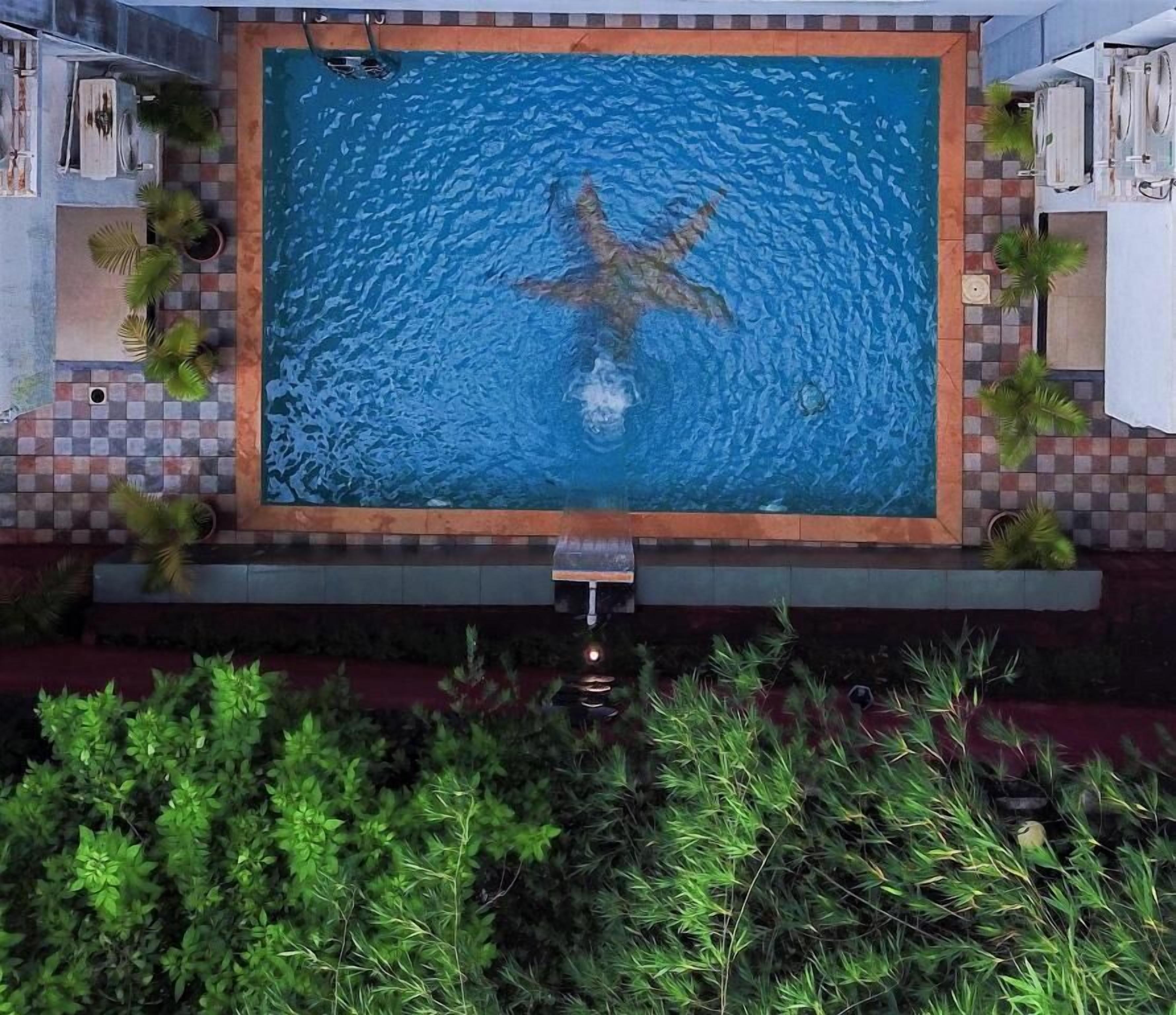 A rectangular swimming pool with a starfish decoration in the center, surrounded by potted plants and a tiled deck.