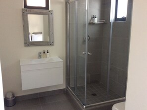 Apartment | Bathroom | Shower, rainfall showerhead, hair dryer, towels