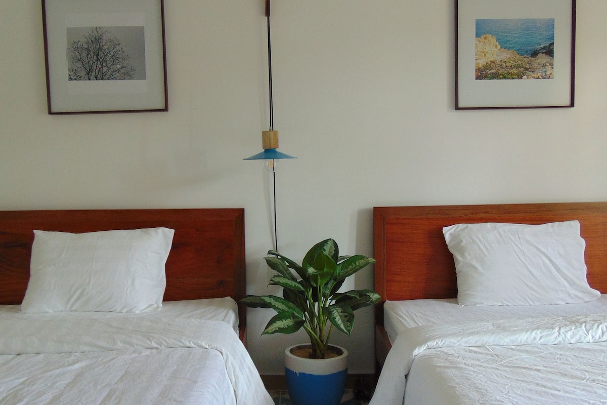 A hotel room with two beds, a potted plant, and two framed pictures on the walls.