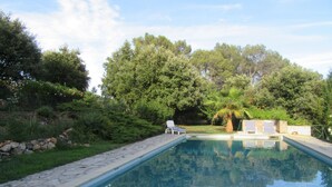 Une piscine rectangulaire à l’eau d’un bleu limpide, entourée d’une terrasse en pierre. On y trouve deux chaises longues blanches avec des coussins à rayures, un palmier et une végétation luxuriante en arrière-plan.