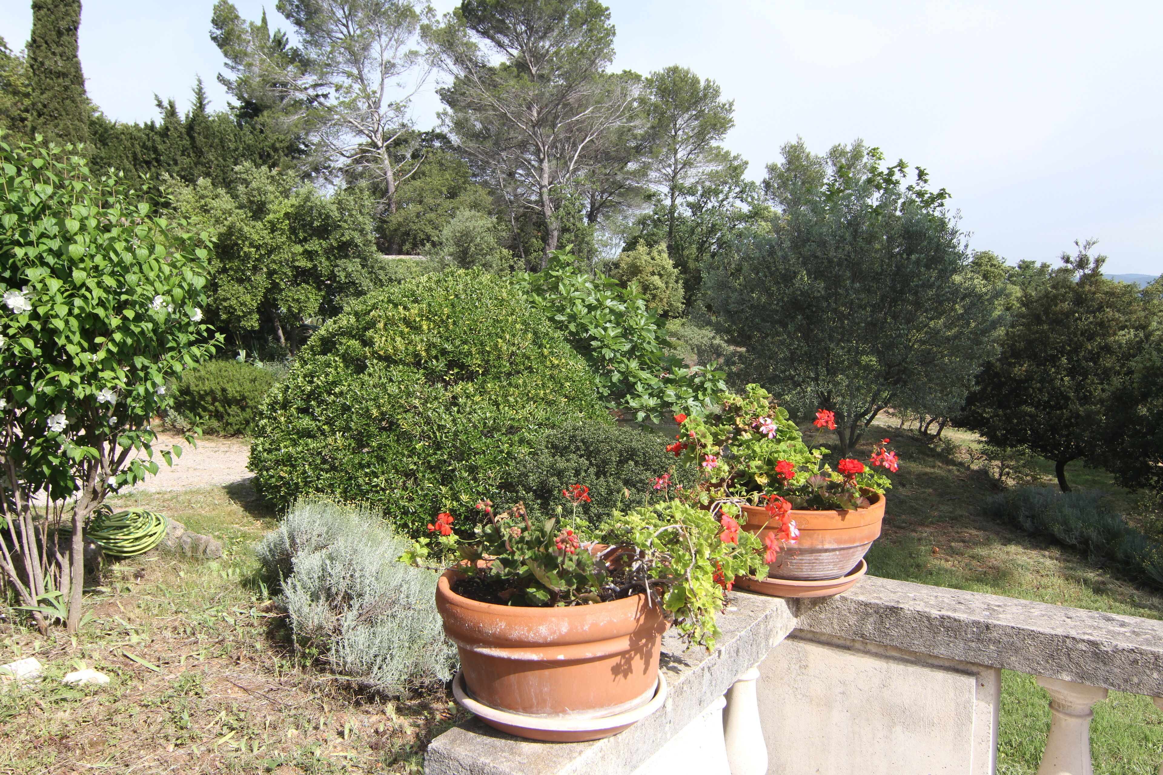 Áreas de la propiedad