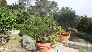 Deux pots en terre cuite ornés de fleurs rouges, posés sur une balustrade en pierre, le tout entouré d’une végétation luxuriante.