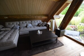 Älytelevisio, takka, pöytätennispöytä, kirjoja