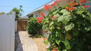 A residential property with a paved pathway leading to a white fence, a wooden gate, and a house with a sloped roof. - Perfect recipe for relaxing, heated pool, walk to beach, bikes, stunning sunsets (Naples)
