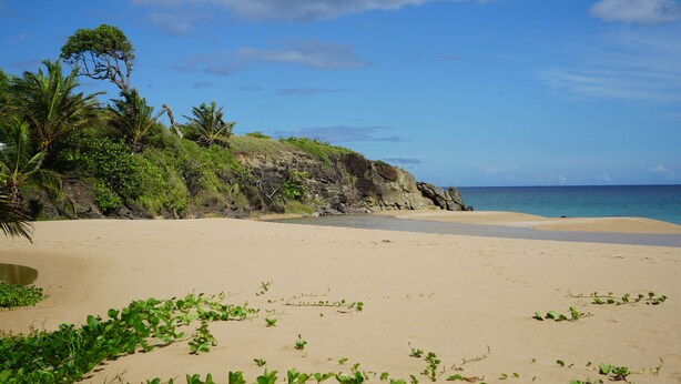 A beach with clear skies, sandy shore, and lush greenery. - Holiday rental "AUTHENTICITY and CONVIVIALITY" in DESHAIES GUADELOUPE (Deshaies)
