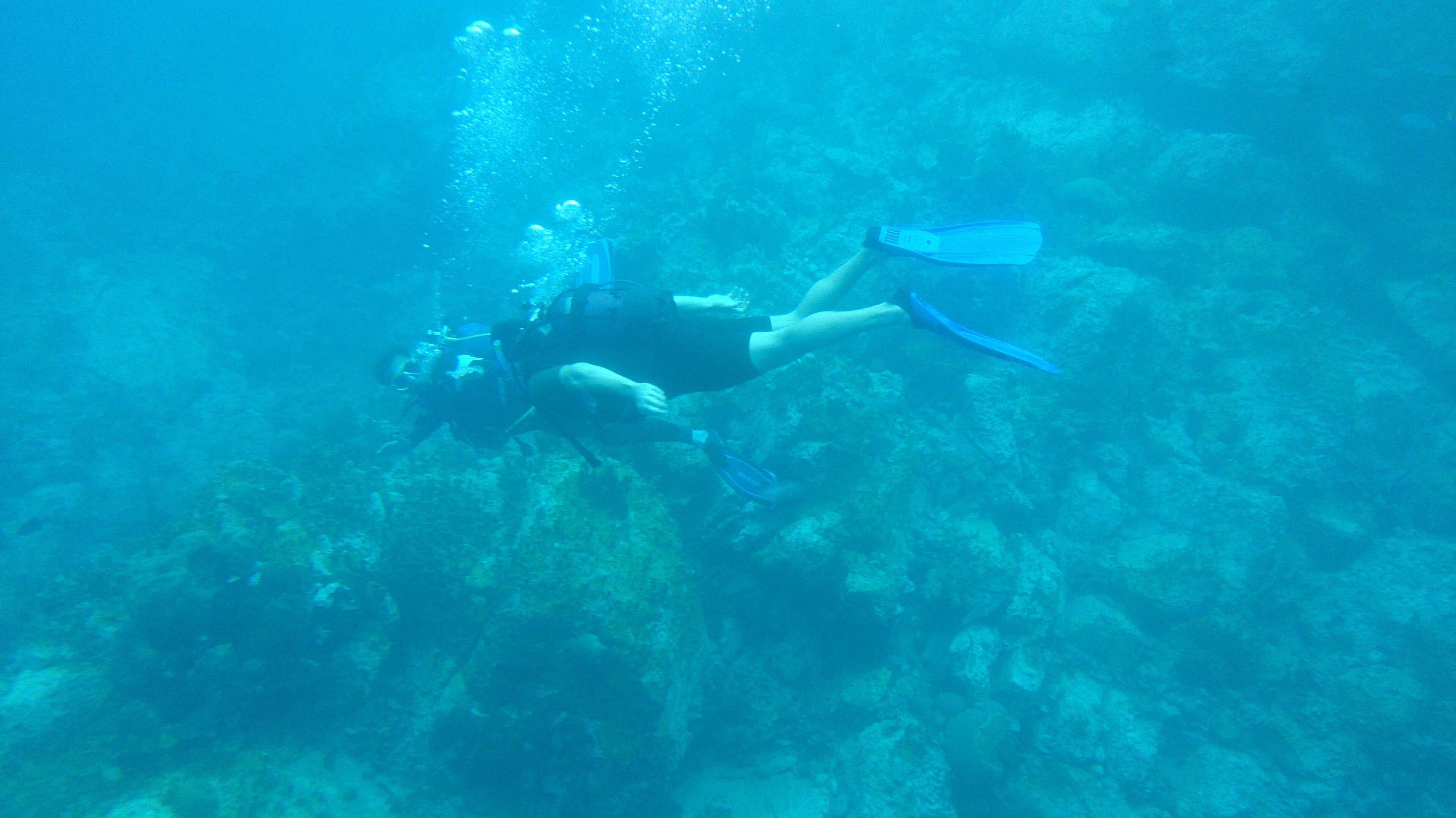 A diver underwater with fins and a mask.
