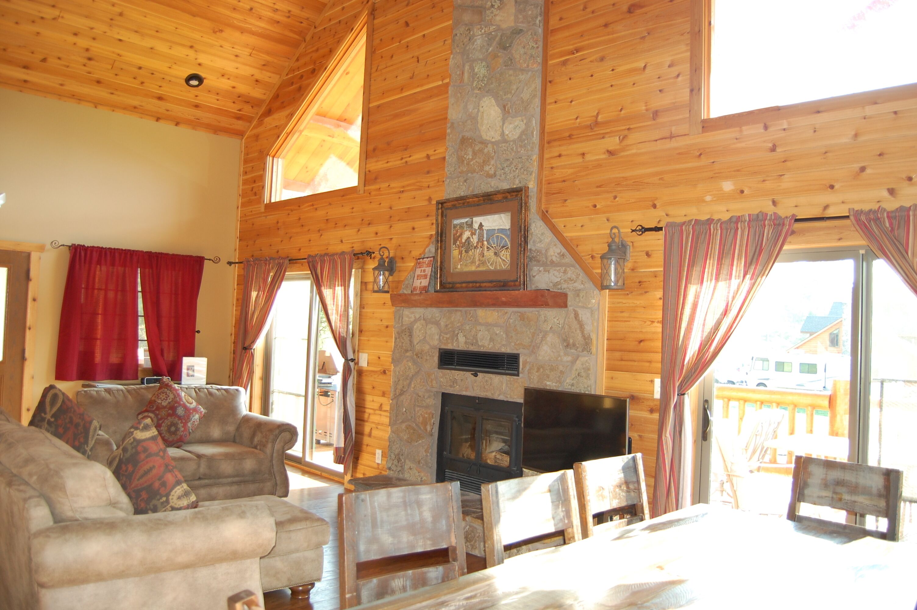 电视、壁炉、DVD 播放器