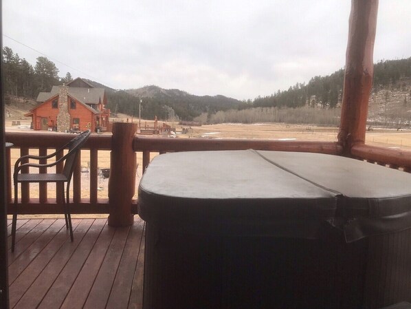 Outdoor spa tub - Escape into the countryside. Spacious log home.  (Hill City)