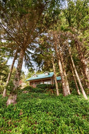 Exterior - Private Home in the Trees within walking distance to the Bay! (Netarts)