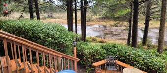 Private Home in the Trees within walking distance to the Bay!