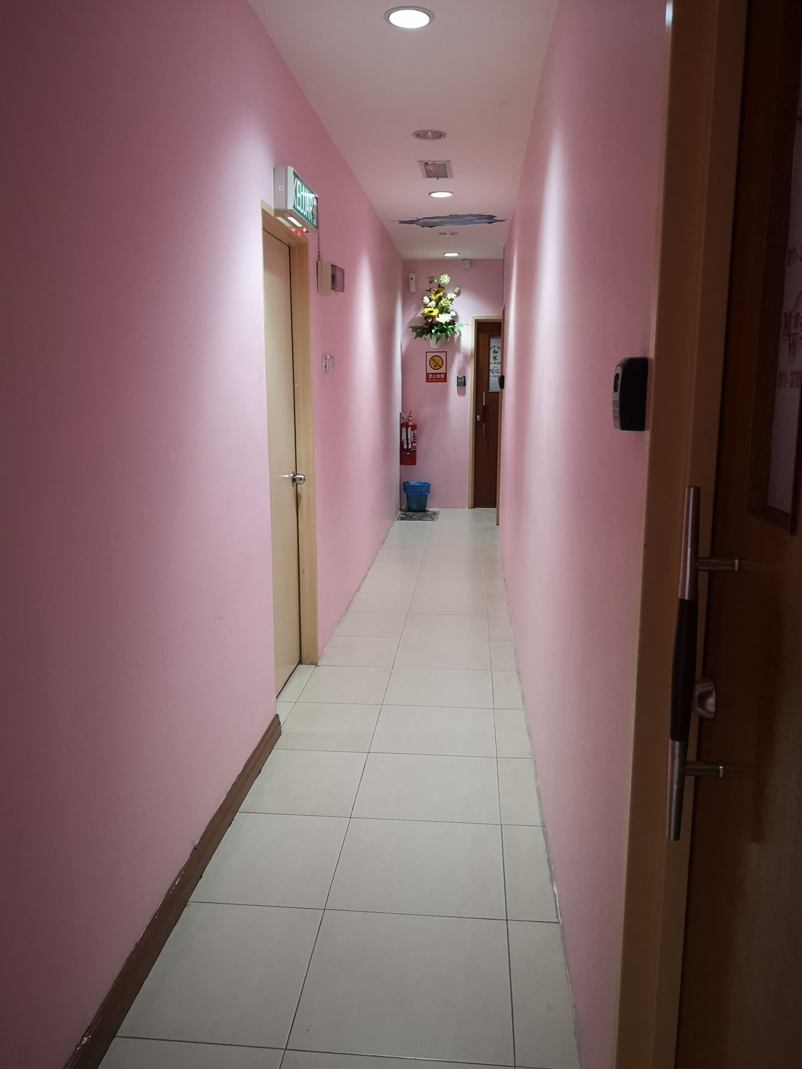 A hallway with pink walls, a tiled floor, and a door at the end.