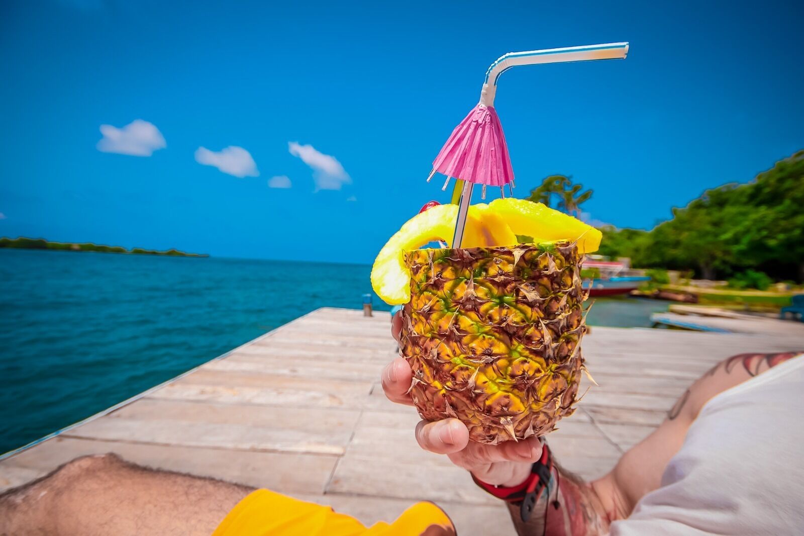 Vista frontal de la propiedad