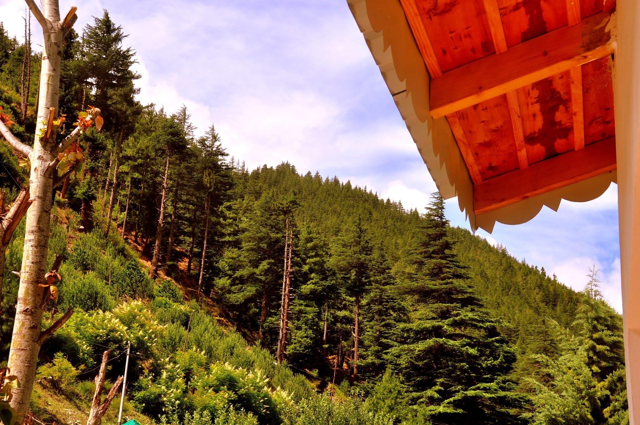 View from property