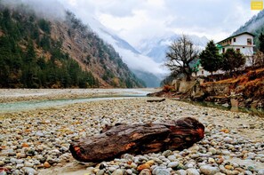 View from property - Prakriti The Retreat (Bhatwari)