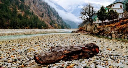 Prakriti The Retreat