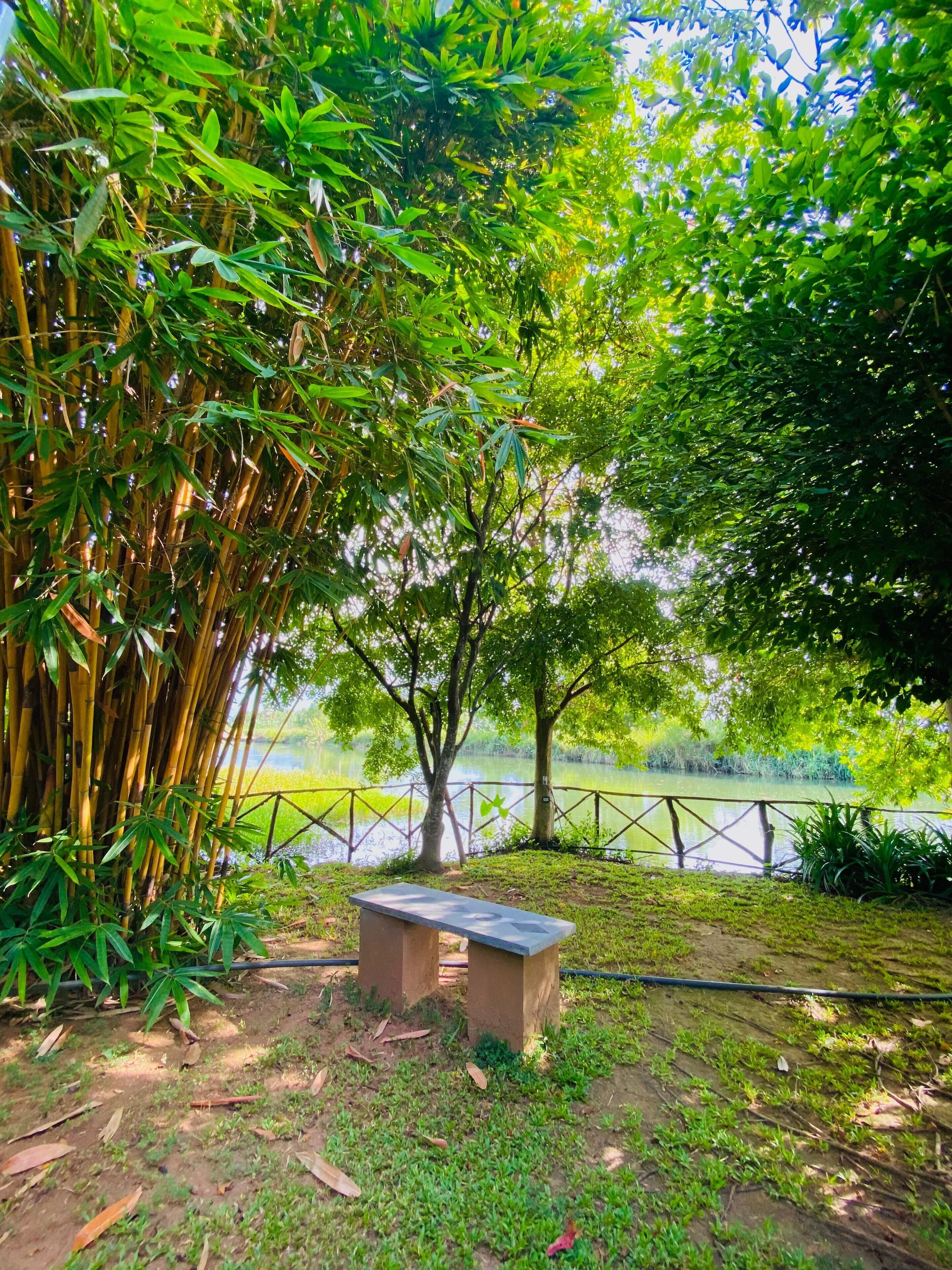 A serene park with a bench, lush greenery, and a lake.