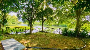 Vue sur le jardin