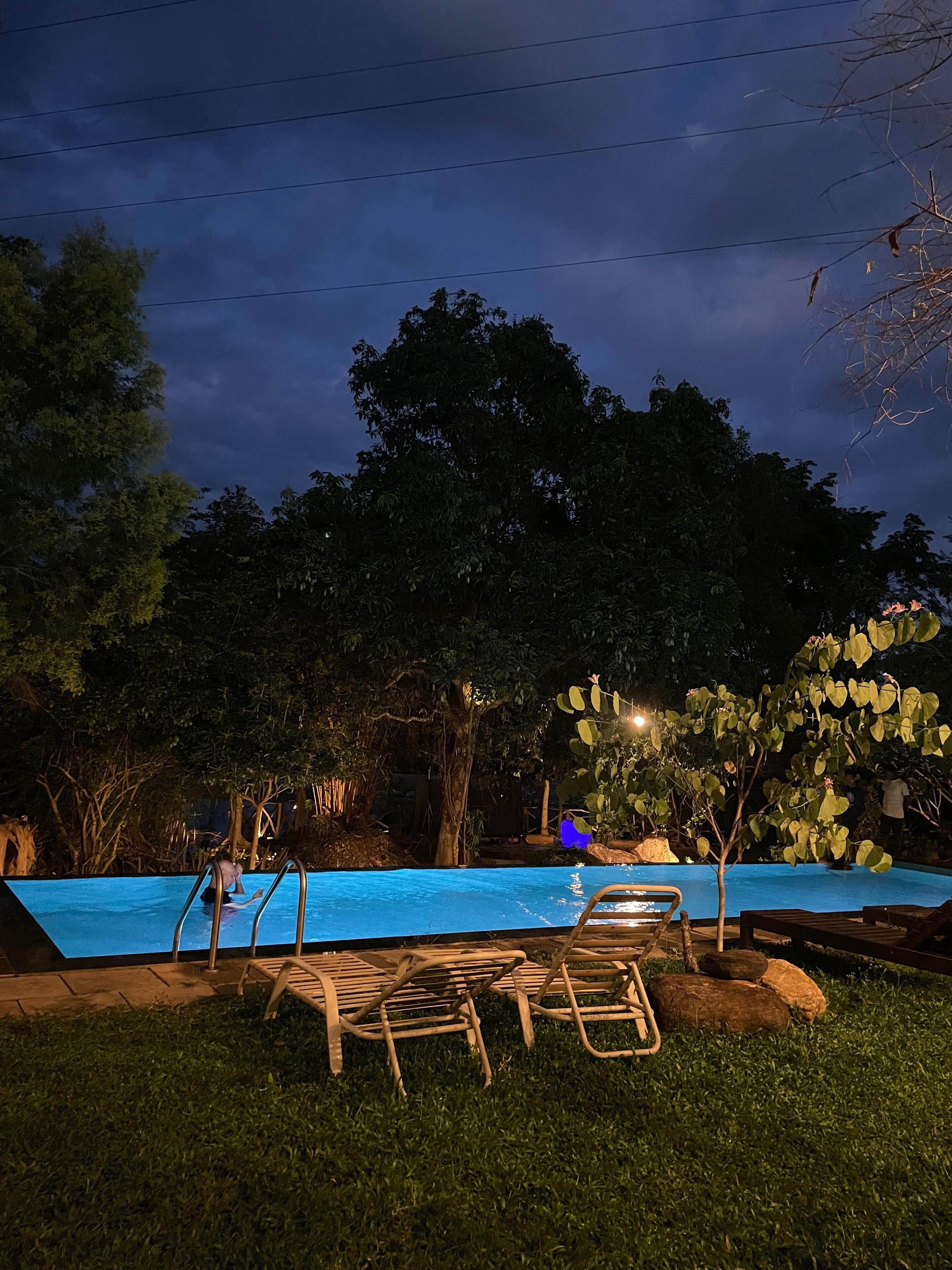 A swimming pool area with lounge chairs and a tree.