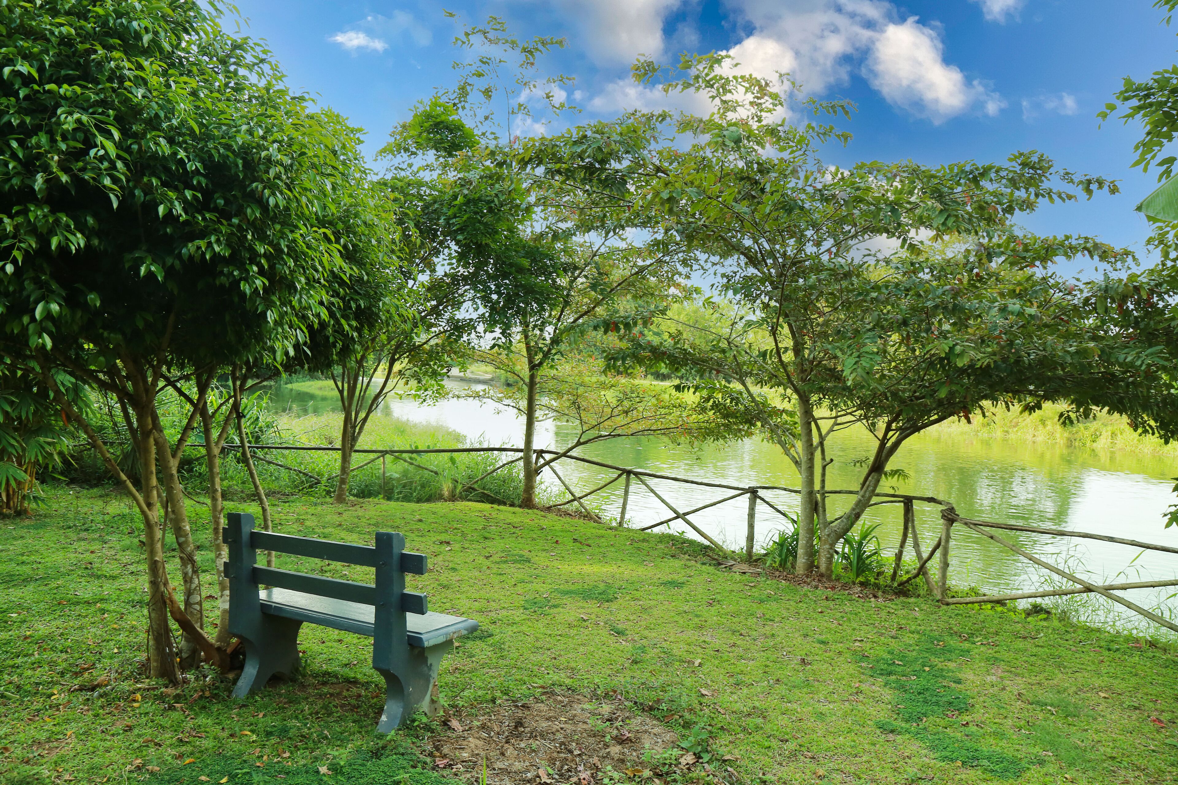 A park with a bench, a pond, and a wooden fence.