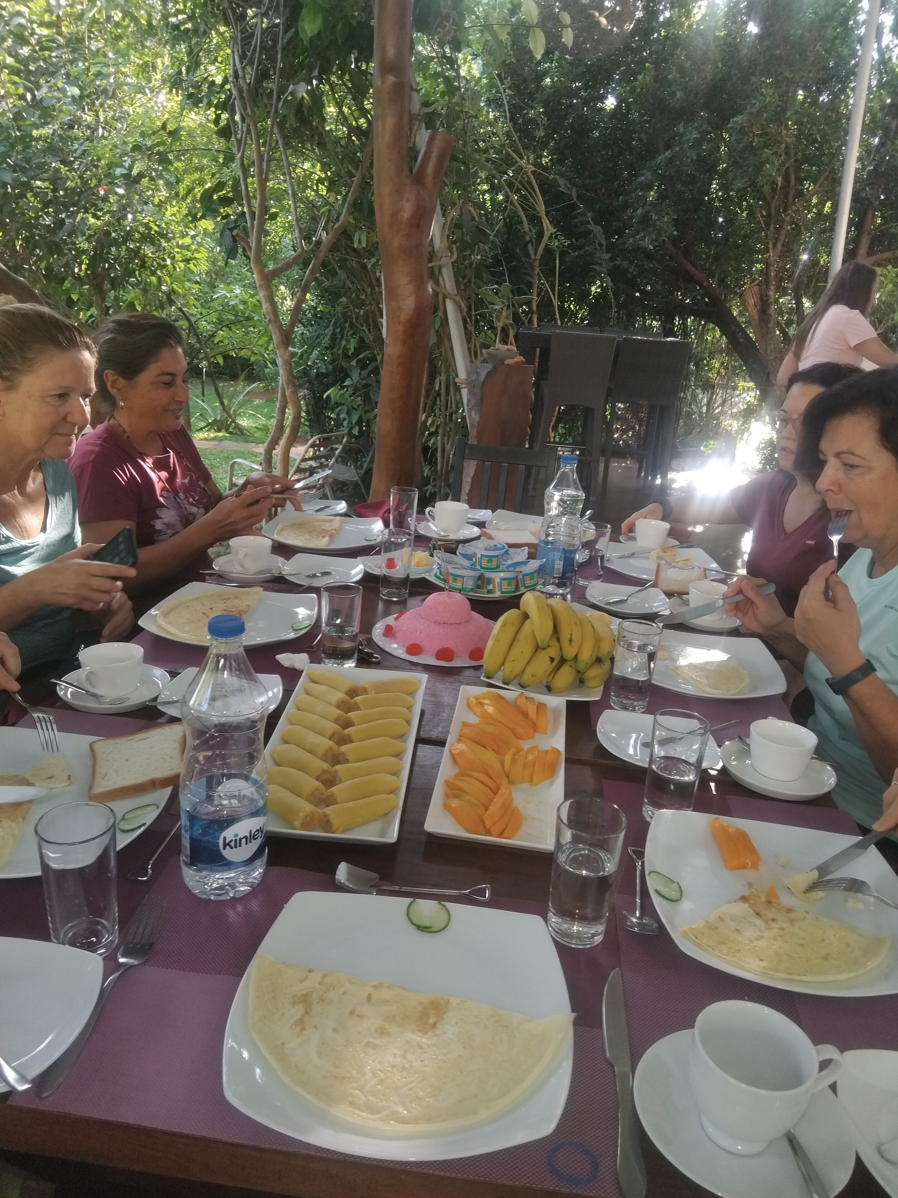Un grupo de personas comiendo al aire libre en una mesa con varios platos, incluyendo un plato de plátanos, un plato de naranjas en rodajas y un postre rosa.