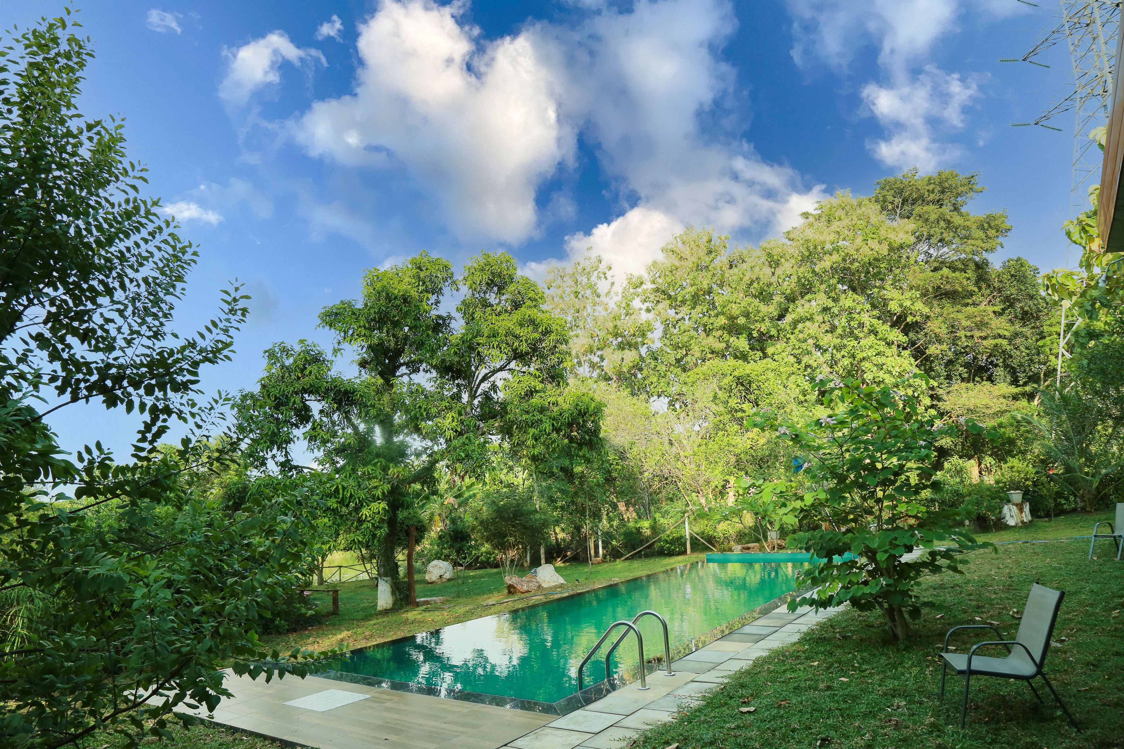 Una piscina rectangular amb una escala metàl·lica, envoltada de vegetació exuberant i arbres.