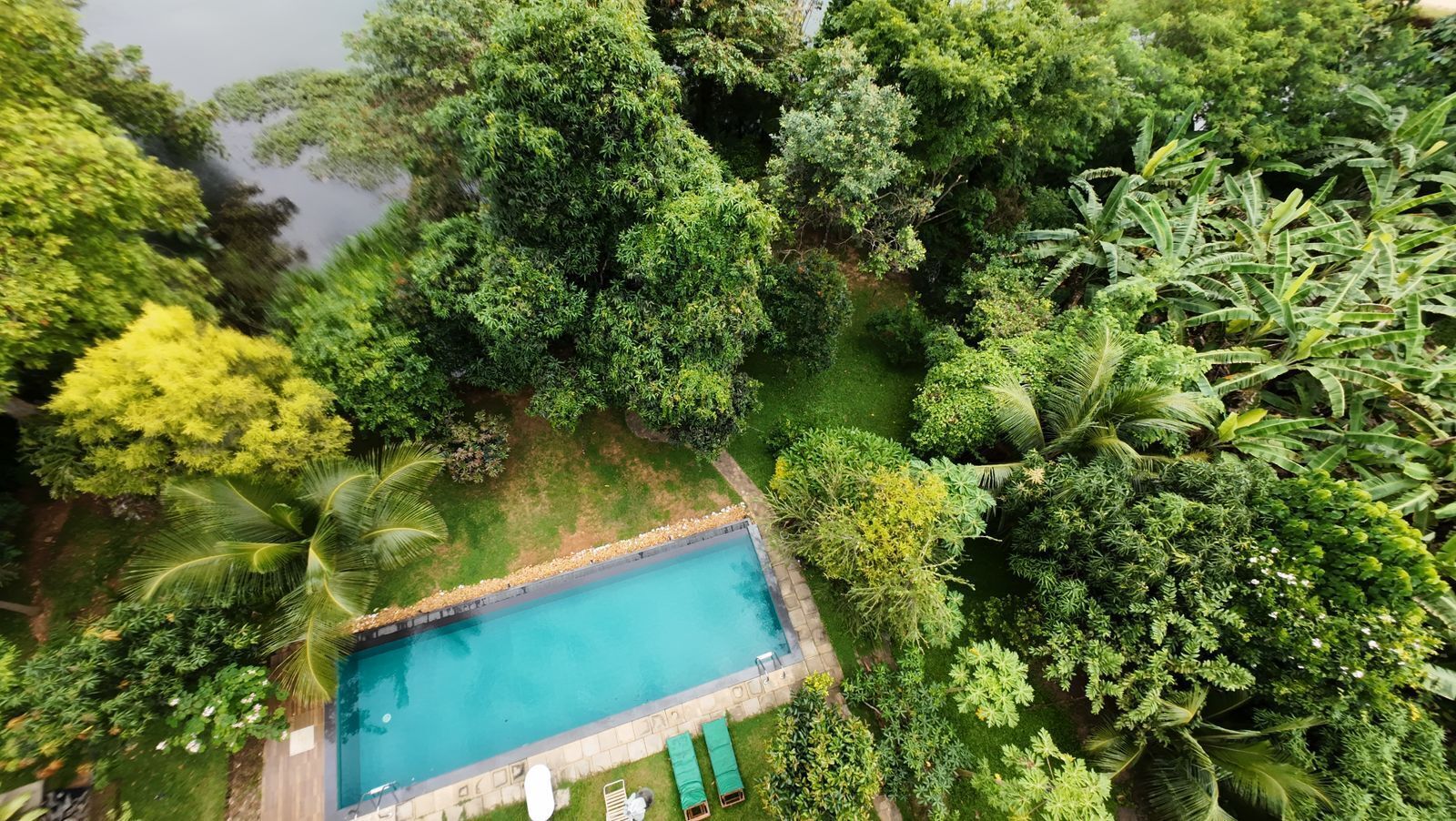 Outdoor pool, pool loungers