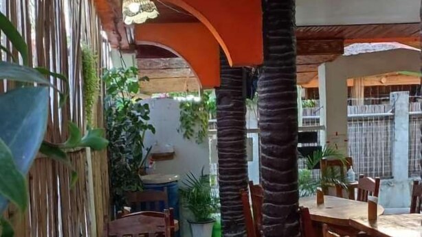 Un'area pranzo interna con tavoli e sedie in legno, una parete di bambù e piante in vaso.