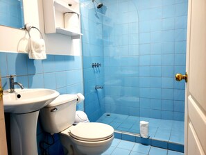 Apartemen Standar | Kamar mandi | Shower, pengering rambut, handuk, dan sabun