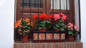 A window with metal bars and potted geraniums on a brick ledge. - Hotel Al Andalus (Torrox)