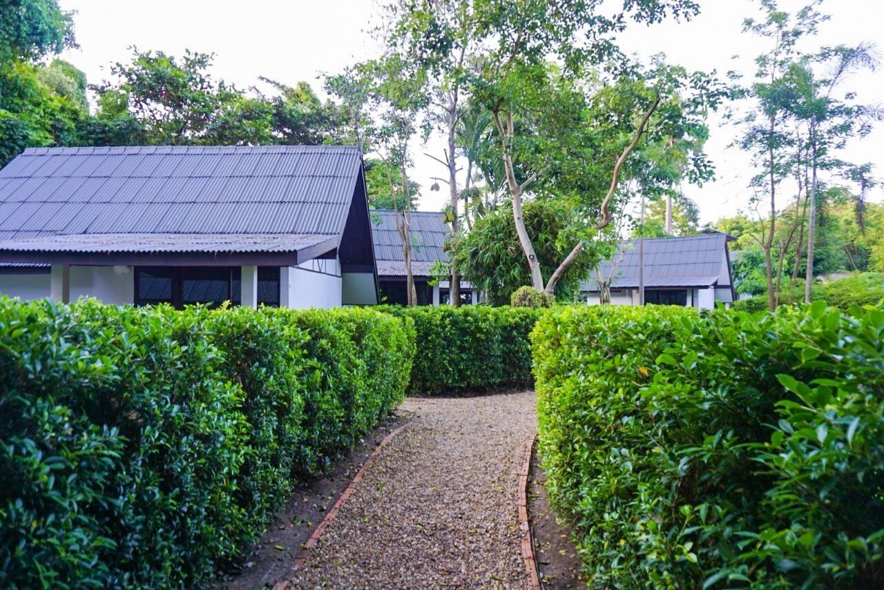 Camera Deluxe | Vista giardino