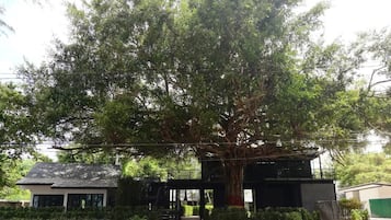 Majoituspaikan julkisivu