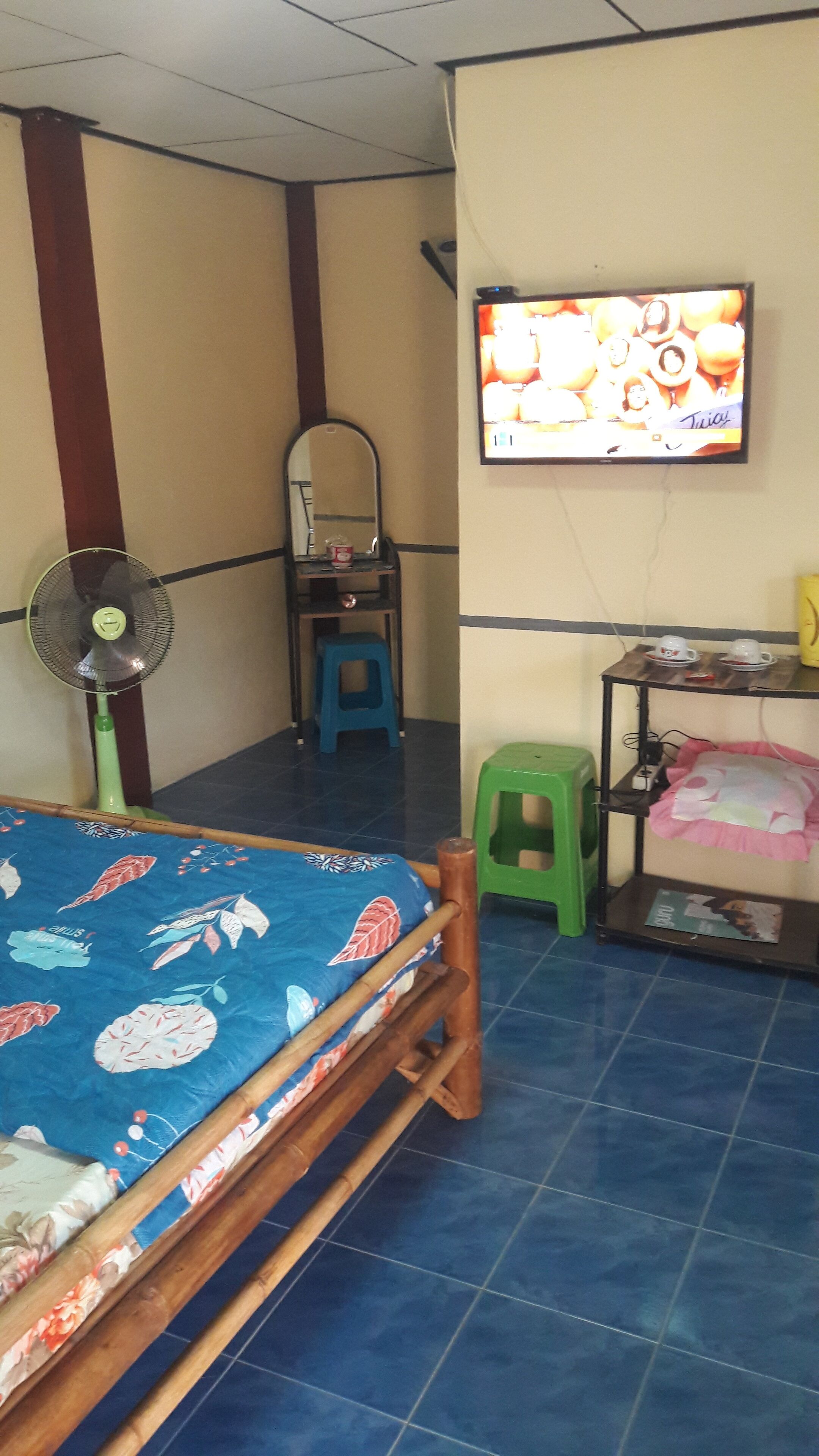 A room with a bed, a desk, a television, and a fan.