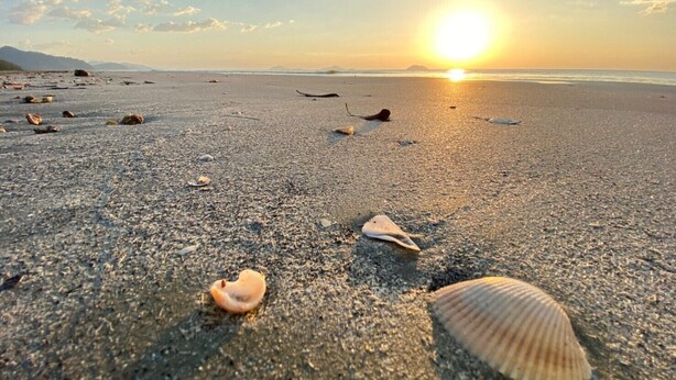 Una playa con caracolas dispersas y una puesta de sol al fondo.