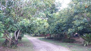 Property grounds - Borrirak Resort Ranong (Ranong)
