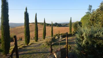 Apartment, 1 Schlafzimmer | Ausblick vom Zimmer