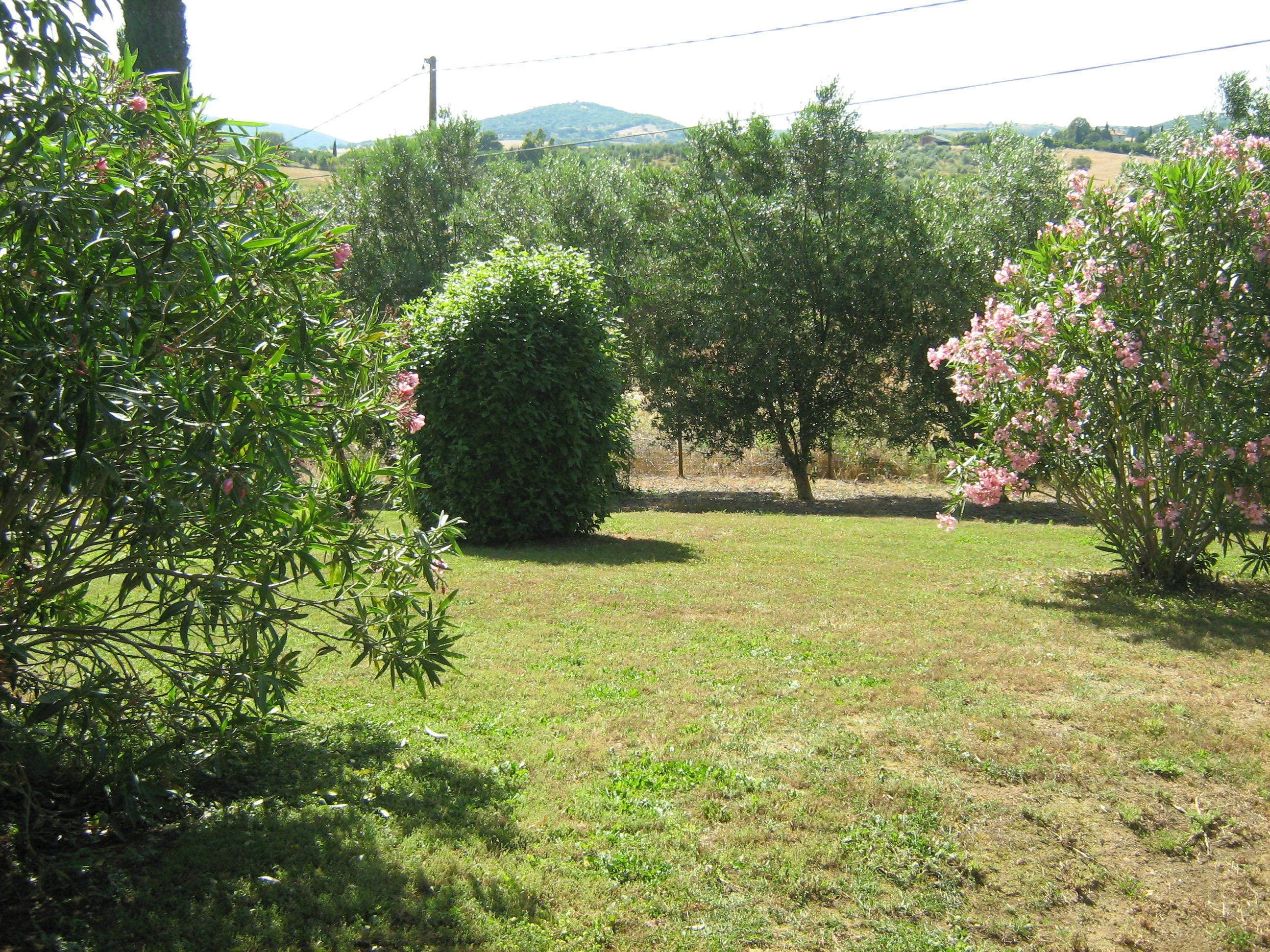 A grassy outdoor area with various trees and shrubs, including some flowering plants.