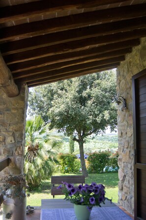 Apartment, 1 Bedroom | Terrace/patio - Agriturismo Aiola (Campagnatico)